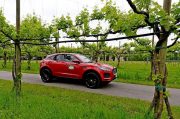 Le Jaguar nella zona del Prosecco e Cartize (108/152)